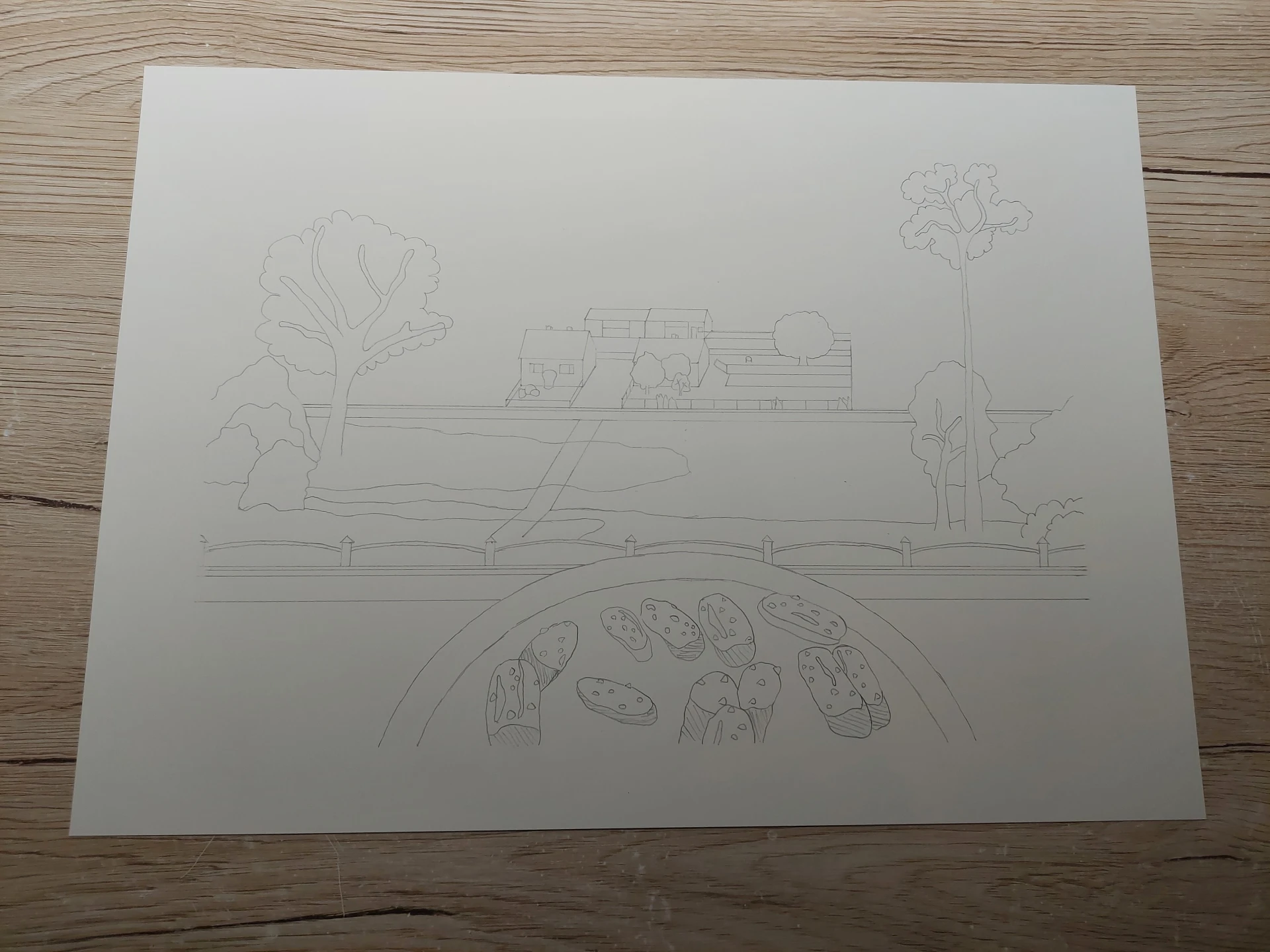 The initial sketch successfully transferred onto high-quality Arches paper.