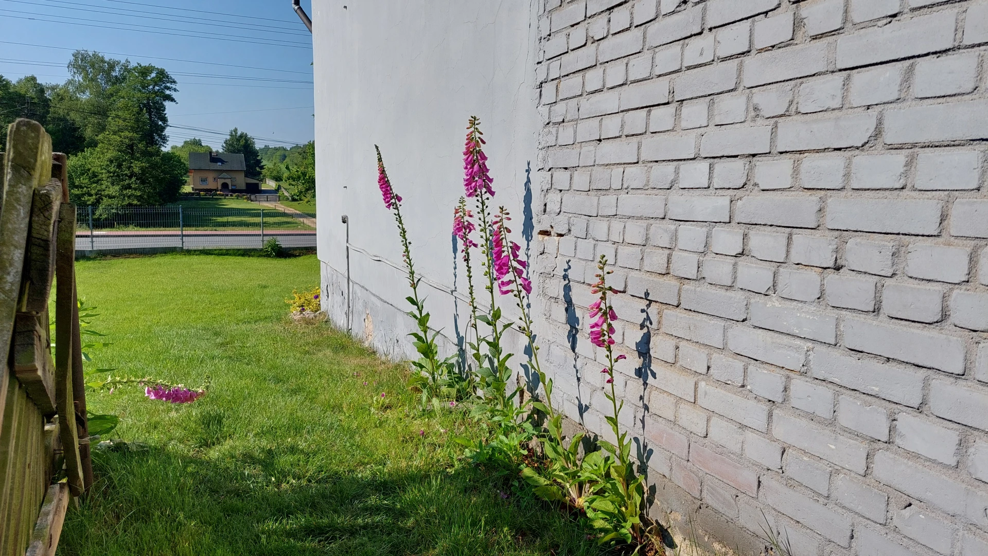 The same scene of the wooden gate and foxgloves, with the artist's own house visible in the far distance.