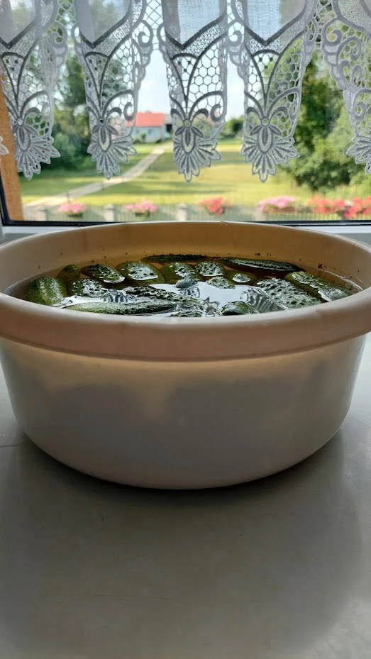 The primary reference photo showing a bowl of cucumbers on a countertop with a large farmstead and a concrete fence in the background.